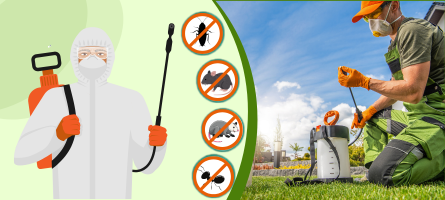 Emergency Pest Control Bacchus Marsh
